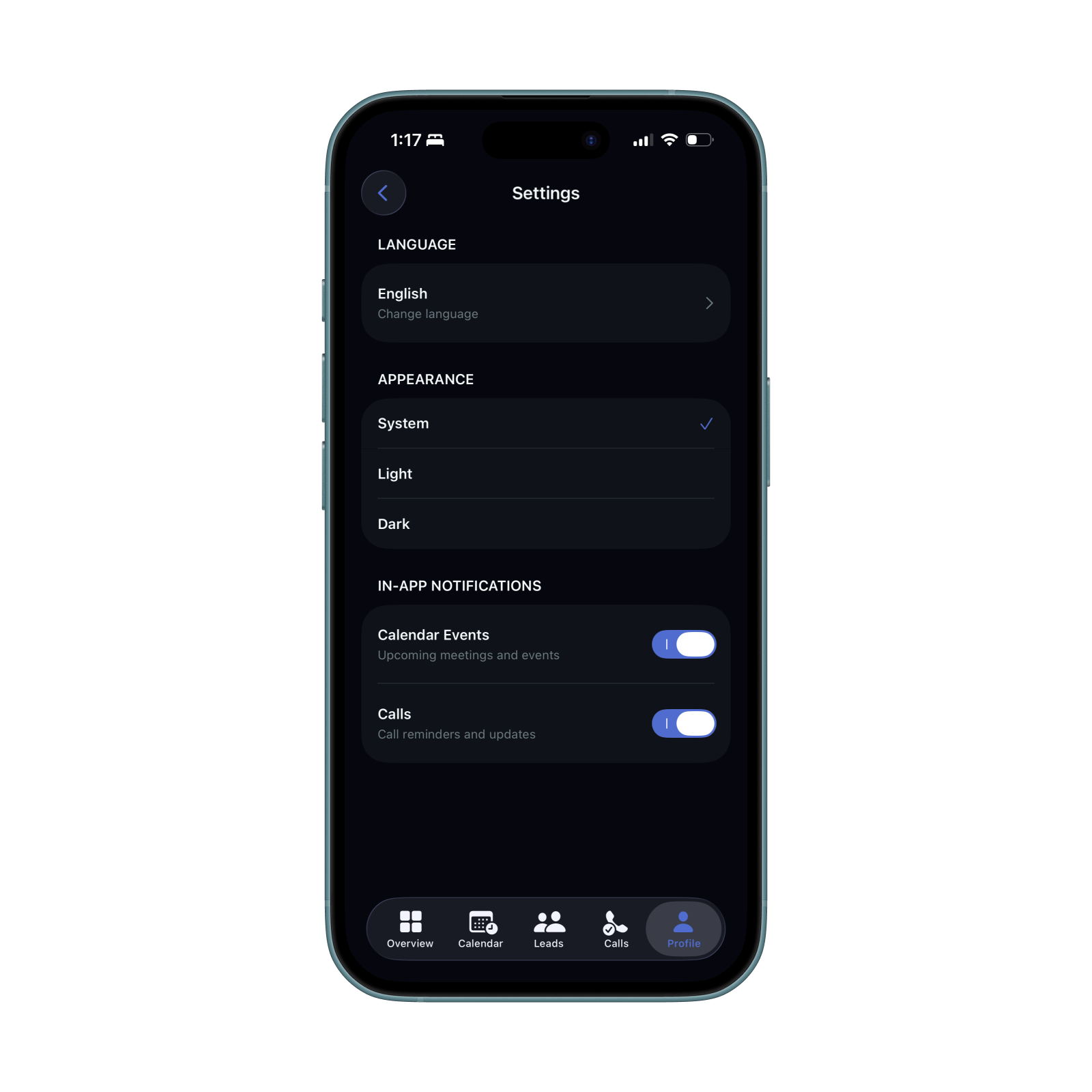 Settings with language and appearance